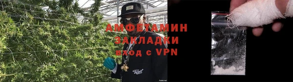 стафф Богданович