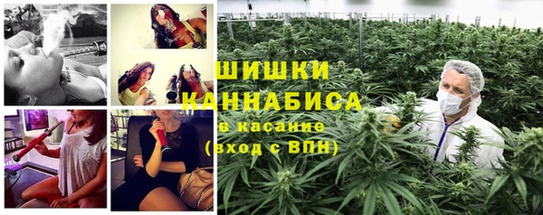 ГАЛЛЮЦИНОГЕННЫЕ ГРИБЫ Богородицк