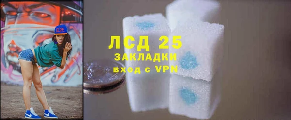 стафф Богданович