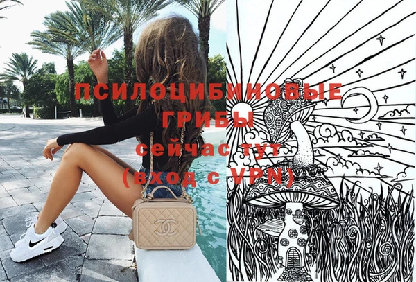 стафф Богданович