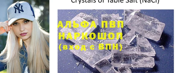 стафф Богданович