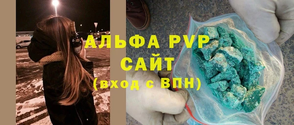 стафф Богданович