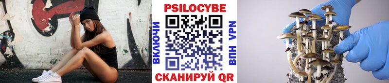 Псилоцибиновые грибы Psilocybe  Котельнич 